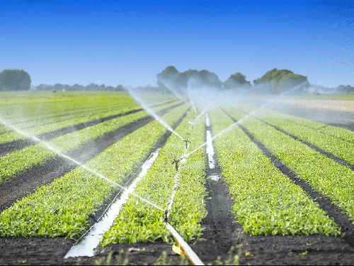 Miniature-Pump-Application-10-Agriculture-Irrigation