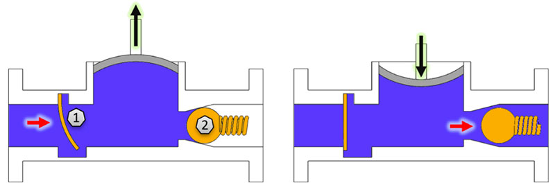 Check-Valve-Examples-in-a-Diaphragm-Pump Check-Valve-Examples-in-a-Diaphragm-Pump